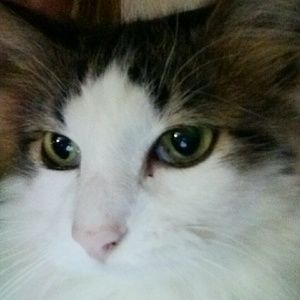 Meet your Posher, Crystal